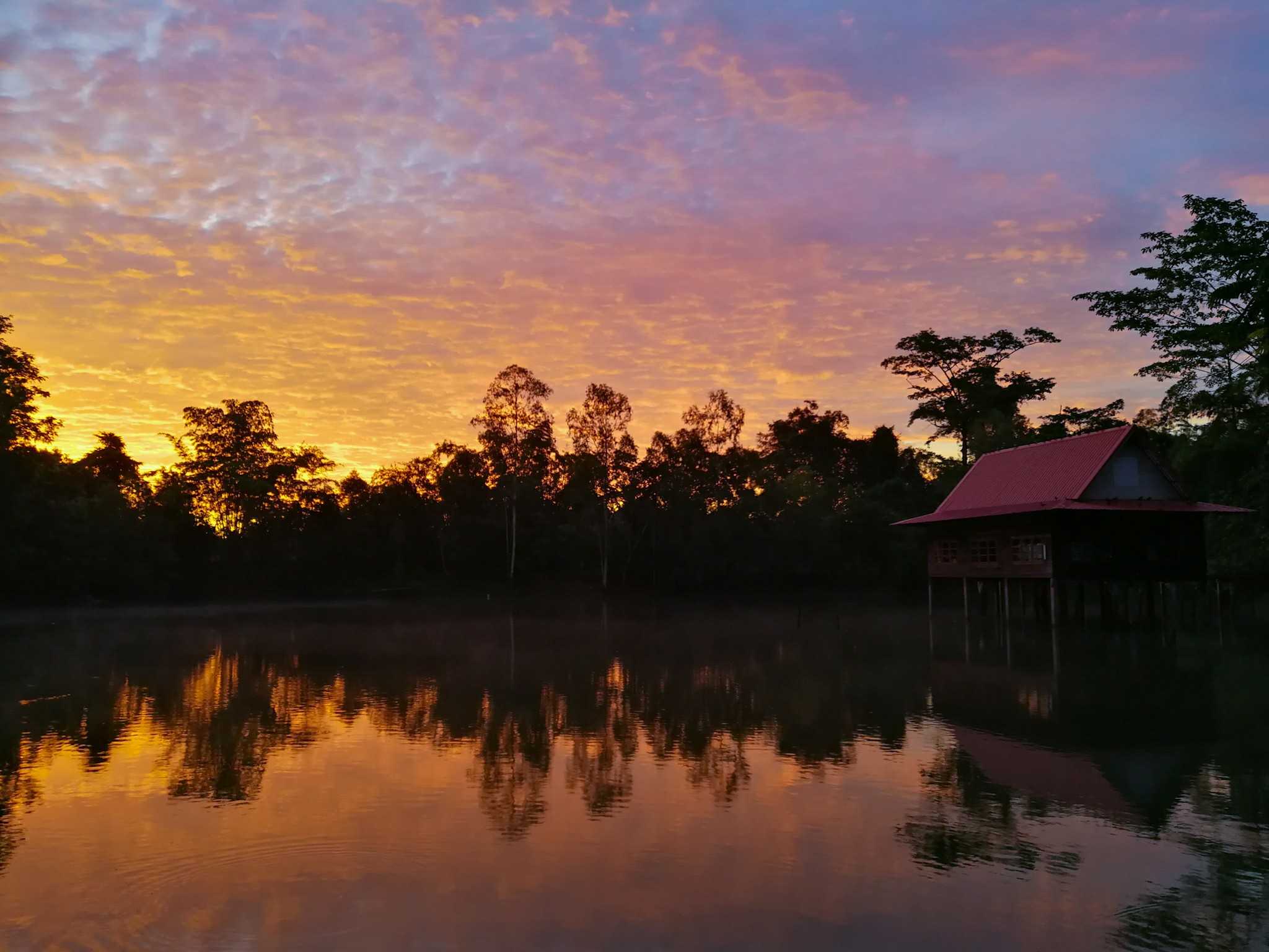 気づきを楽しむ タイの大地で深呼吸 ２３ 写真 文 浦崎雅代 翻訳家 佼成新聞デジタル